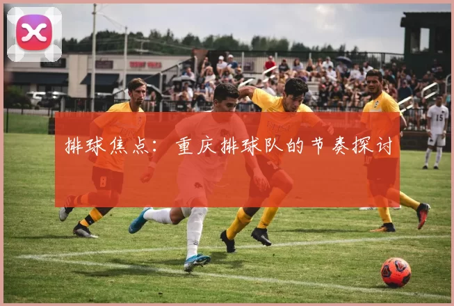 排球焦点：重庆排球队的节奏探讨