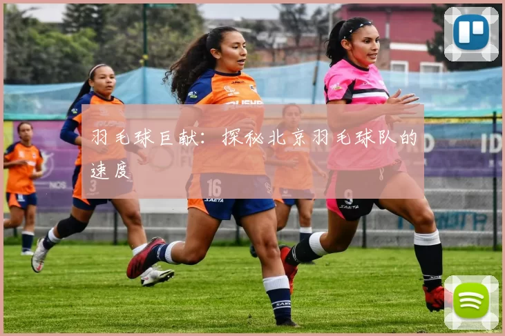 羽毛球巨献：探秘北京羽毛球队的速度